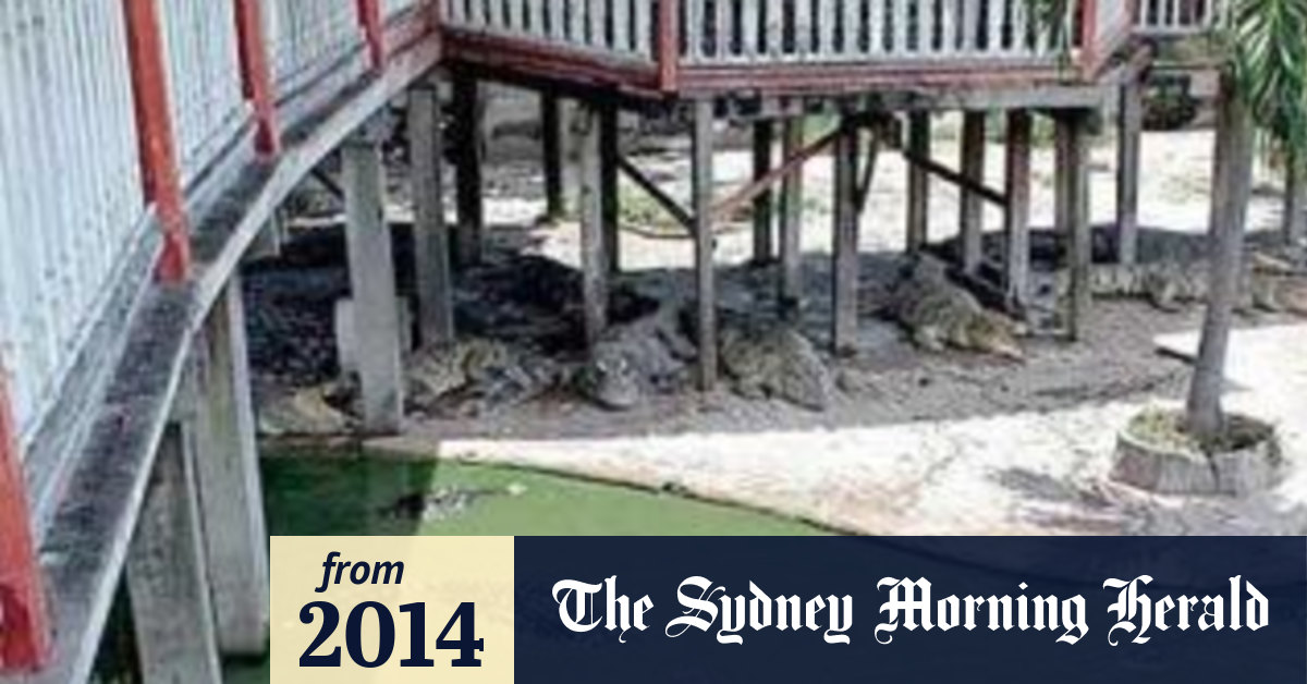 Thai woman commits suicide by jumping into crocodile pit